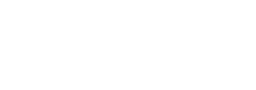bwise-logo