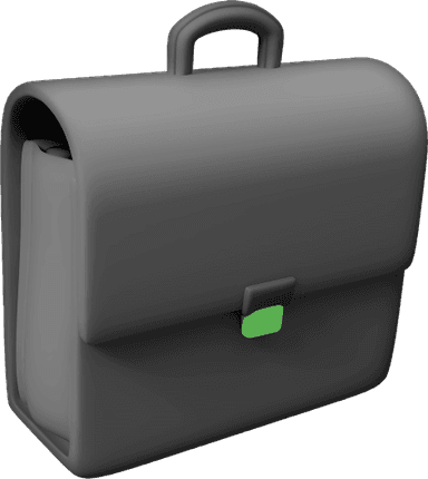 Business Bag